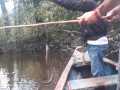 IMG-20200305-WA0015