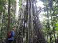 IMG-20200305-WA0023