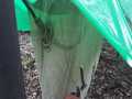 IMG-20200305-WA0033
