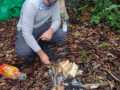 IMG-20221106-WA0007
