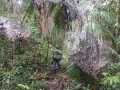 IMG-20241124-WA0008