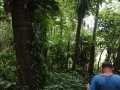 IMG-20241124-WA0013