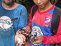IMG-20241124-WA0016
