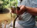 IMG-20220812-WA0002