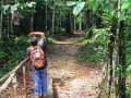 WA_bridge (2)