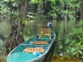 azcanoe