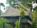 azlodge