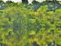 azreflection
