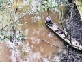 zcanoeabove