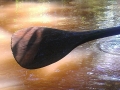 zpaddle