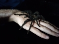 IMG-20180913-WA0016