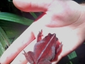 IMG-20180915-WA0002