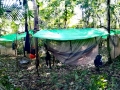 IMG-20180915-WA0005
