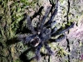 IMG-20180915-WA0012